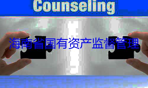 委副书记王海南省国有查调查理委员会党有福接受审资产监督管